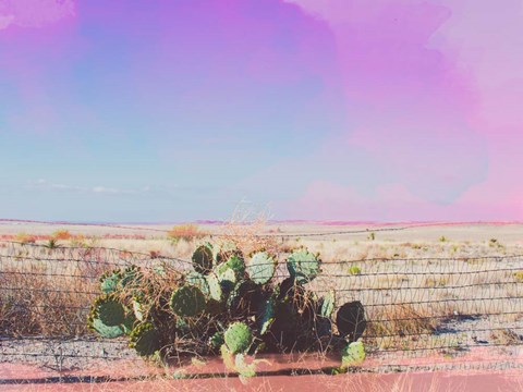 Framed West Texas Scapes I Print