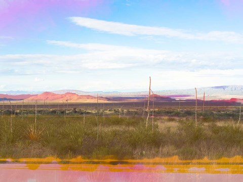 Framed West Texas Scapes II Print