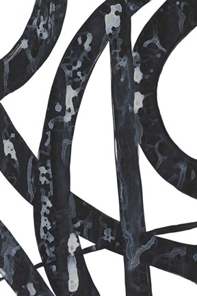 Framed Onyx Tracery I Print