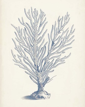 Framed Antique Coral Collection II Print