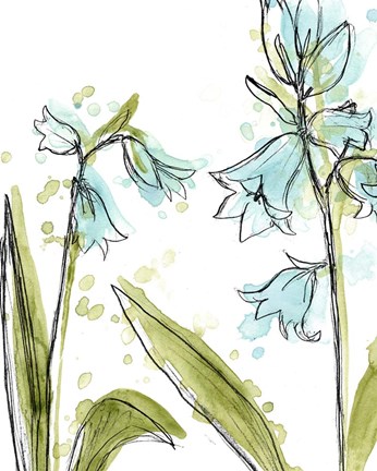 Framed Spring Contours IV Print