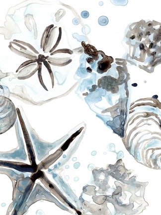 Framed Cerulean Seashells IV Print