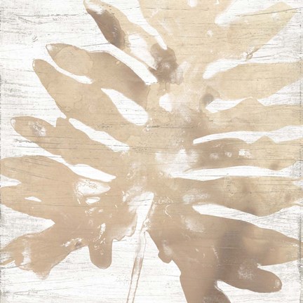 Framed Neutral Palm Fossil V Print