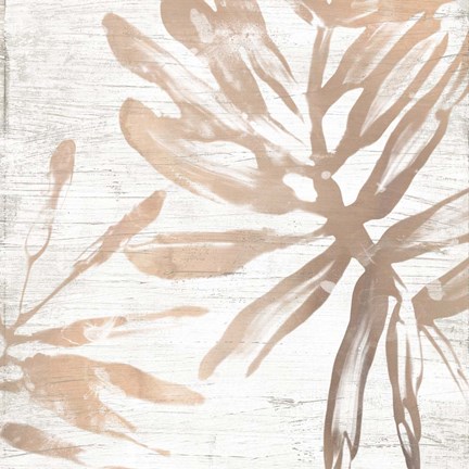 Framed Neutral Palm Fossil VI Print