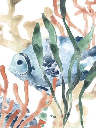 Framed In the Kelp II Print