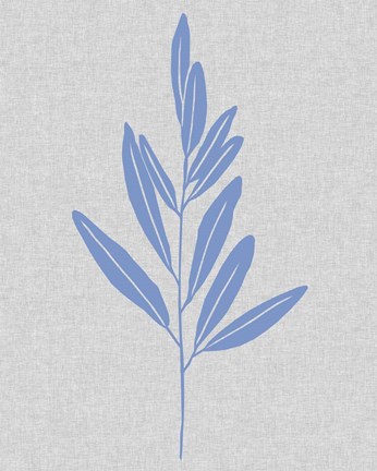 Framed Blue Stem III Print