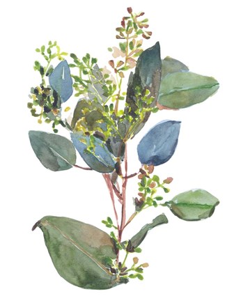 Framed Seeded Eucalyptus I Print