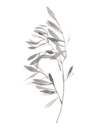 Framed Gentle Breeze I Print