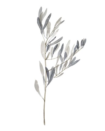 Framed Gentle Breeze II Print