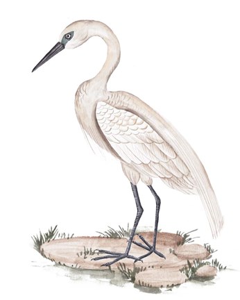 Framed White Heron I Print