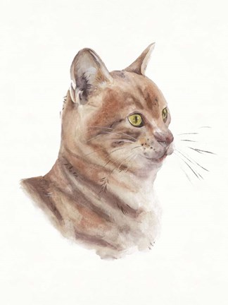 Framed Orange Cat I Print