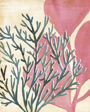 Framed Chromatic Sea Tangle III Print