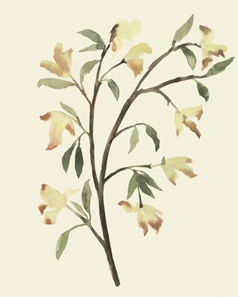 Framed Blest Branch II Print