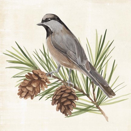 Framed Pine Branch II Print