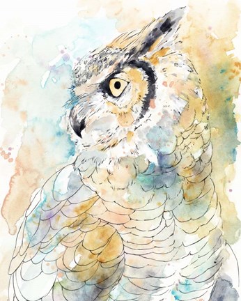 Framed Owl Majestic I Print