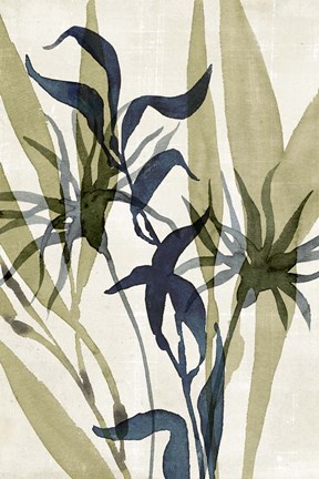 Framed Glassy Depths II Print