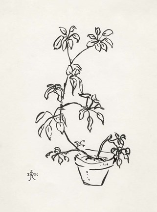 Framed Floral Ink Study I Print