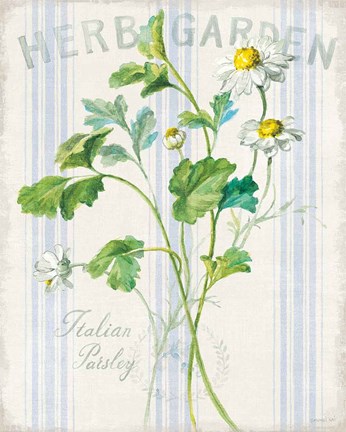 Framed Floursack Herbs II Print