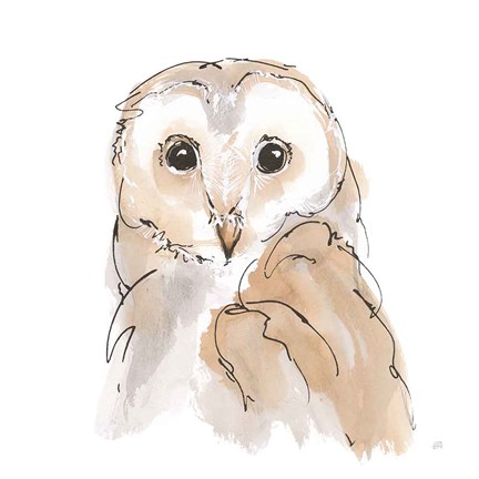 Framed Barn Owl II Print
