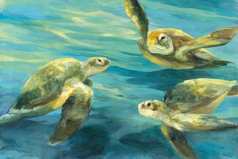 Framed Sea Turtles Print