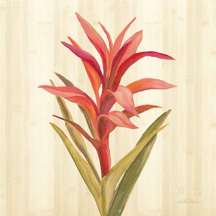 Framed Tropical Garden III Print