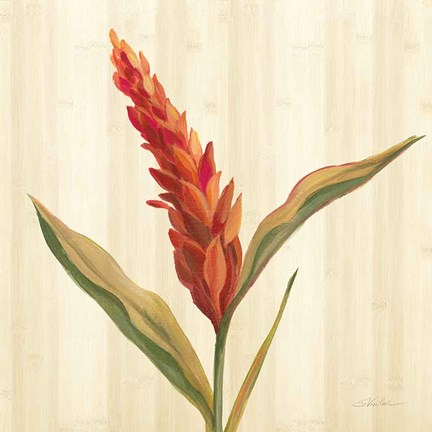 Framed Tropical Garden II Print