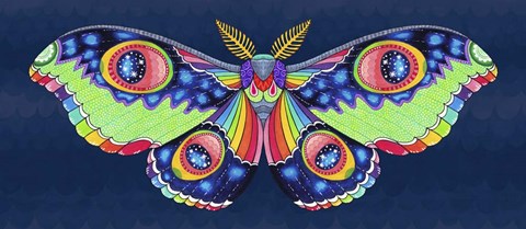 Framed Midnight Rainbow Moth Print