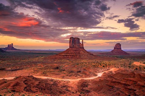 Framed Desert Song Print