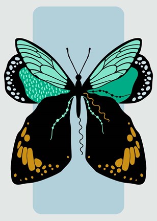 Framed Butterfly Print