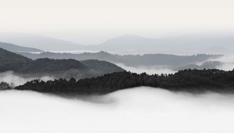 Framed Rolling Fog, Smoky Mountains No. 2 Print