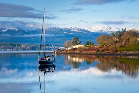 Framed Stillness Print