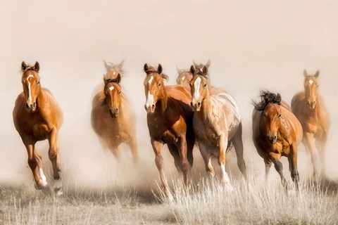 Framed Outlaws Print