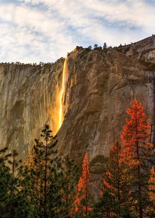 Framed Lost Fire Print