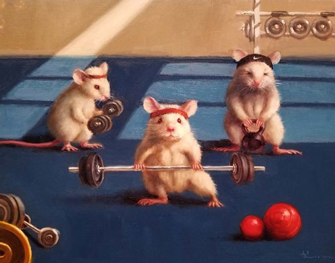 Framed Gym Rats Print