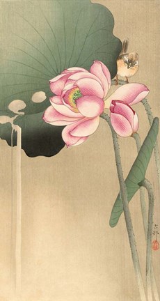 Framed Songbird and Lotus, 1900-1936 Print