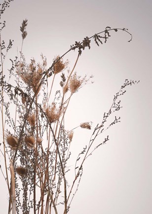 Framed Everlasting Print