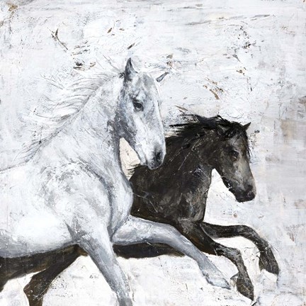 Framed Wild Horse 2 Print