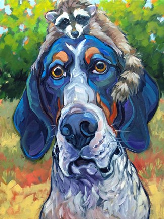 Framed Coonhound Print