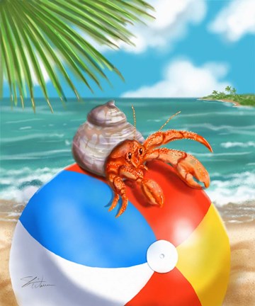 Framed Beach Friends - Hermit Crab Print