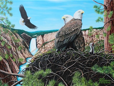 Framed Gathering of Eagles at Yellowstone Falls Print