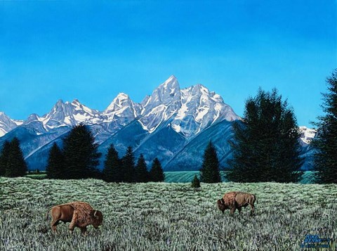 Framed Teton Splendor #1 Print