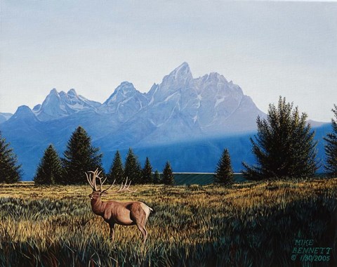 Framed Teton Sunset in the Fall Print