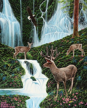 Framed Secret Forest Print