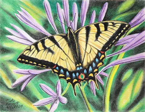 Framed Tiger Swallowtail &amp; African Lily Print