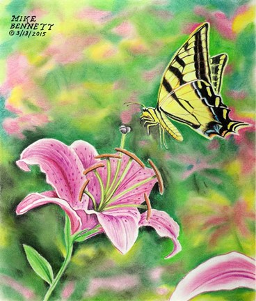 Framed Tiger Swallowtail and Stargazer Lilly Print