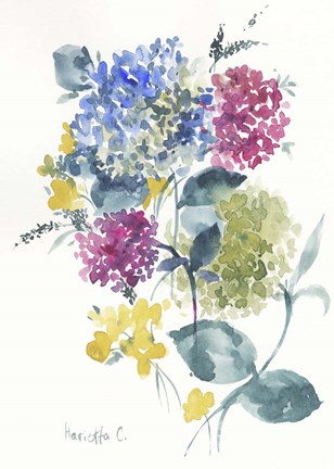 Framed Flower Series 6 Print