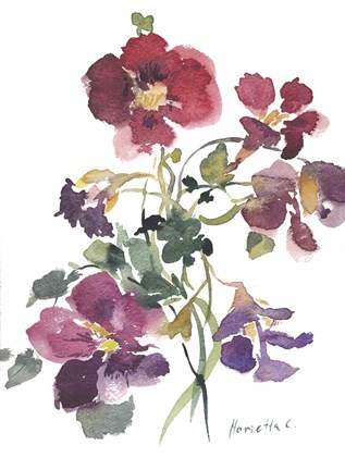 Framed Flower Series 12 Print