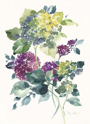 Framed Flower Series 23 Print