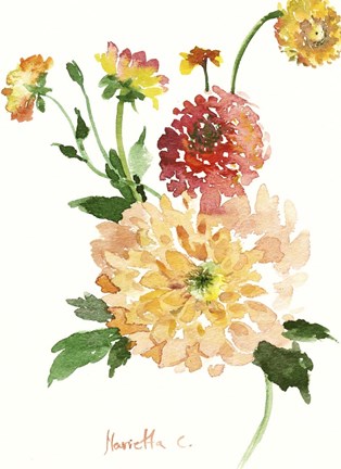 Framed Flower Series 33 Print