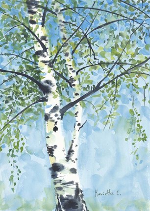 Framed Aspen Tree 1 Print